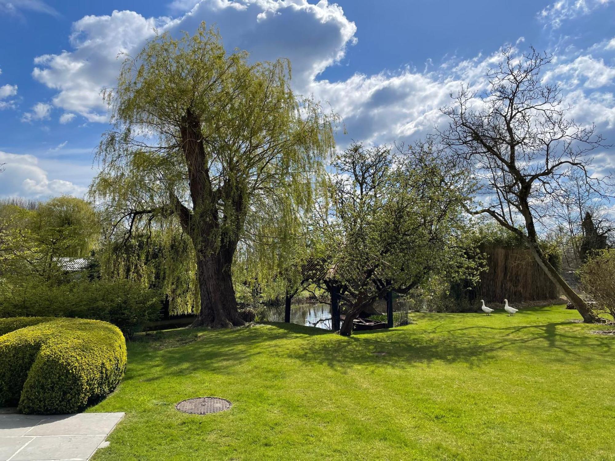 Etablo B&B Bornem Buitenkant foto